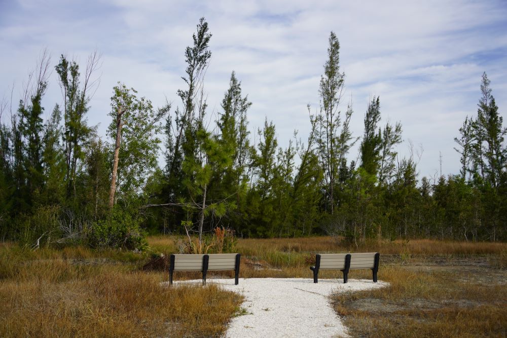Coviello Park - nature benches